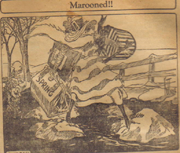 White Pond Joke Small